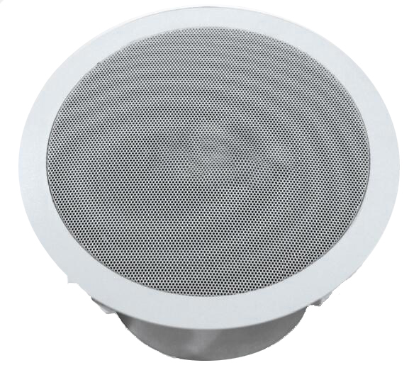 1681181648266486.jpg 2.jpg